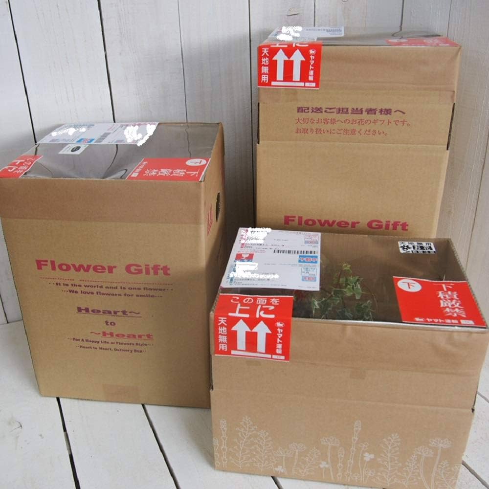 Amazon.co.jp: 【多年草】 アメリカンブルー 2株セット